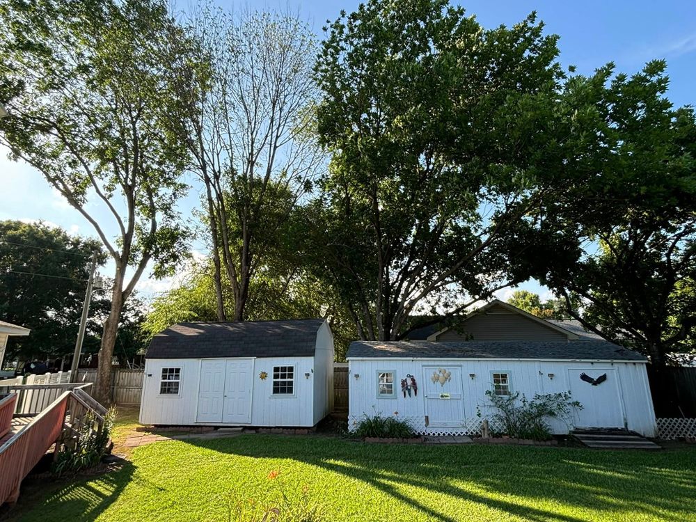 Tree Services for Total Tree Care in Erwin, North Carolina