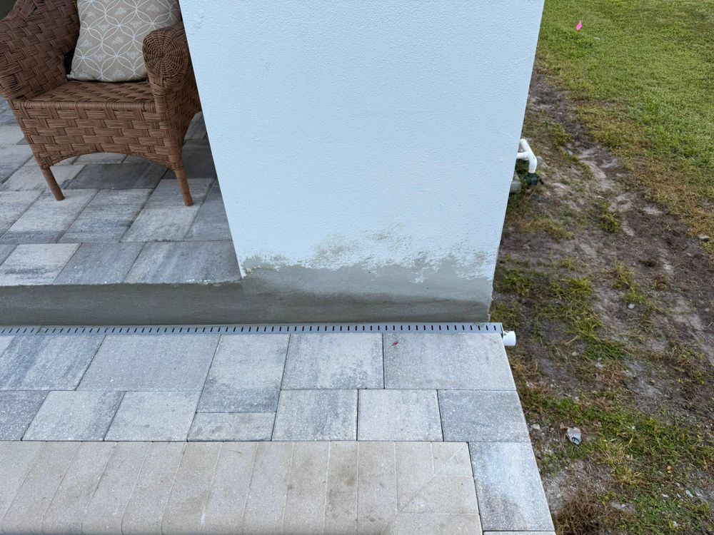 All Photos for Escorpio Painting in Tampa, FL