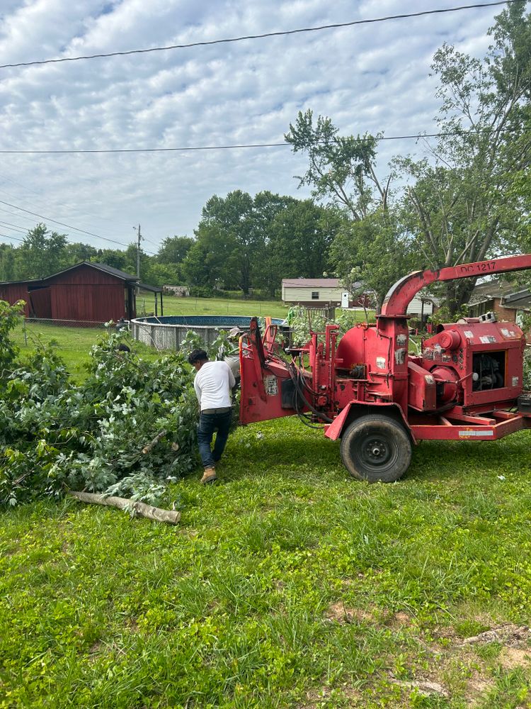 All Photos for Optimum Tree Service And Landscaping in Bowling Green, KY