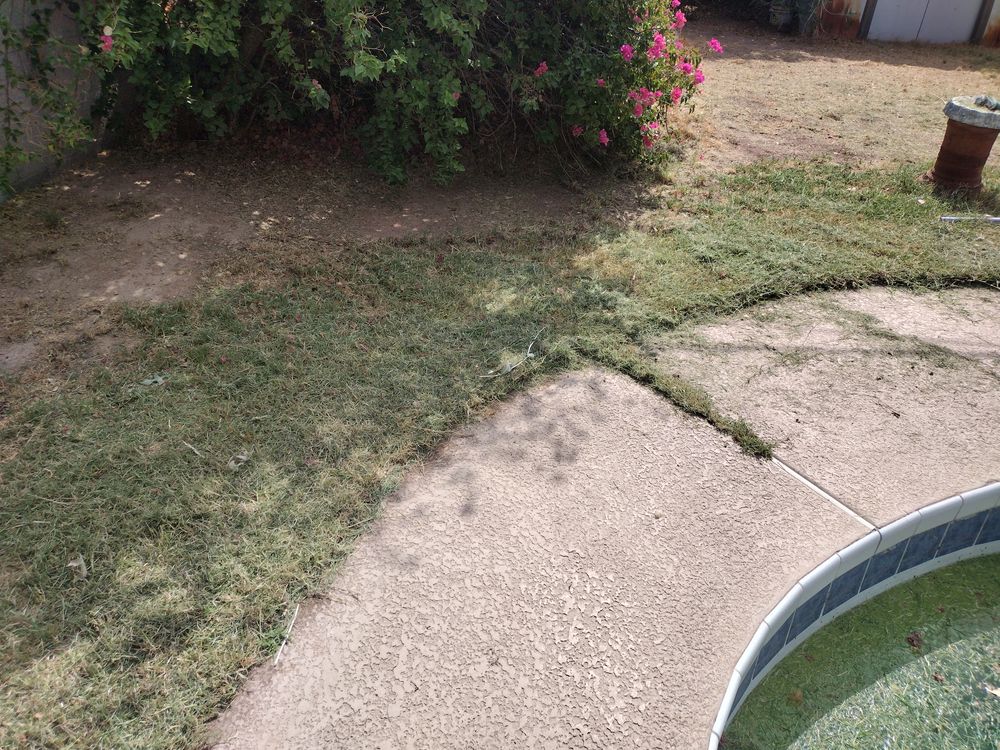 All Photos for Smooth Lawn Service in Mesa, AZ
