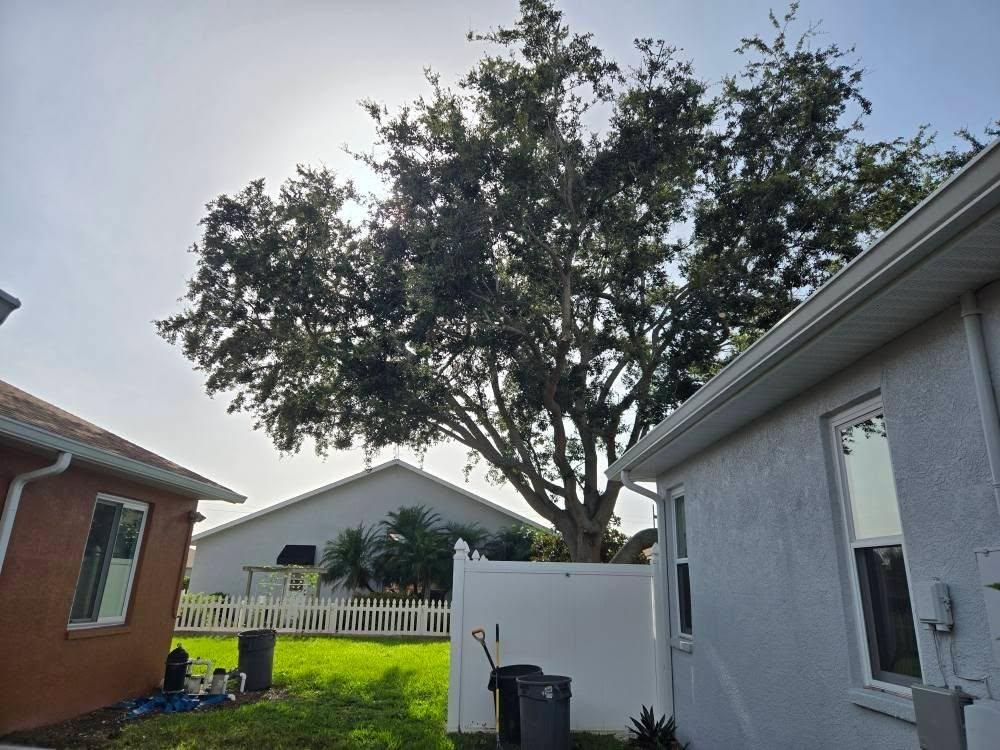 All Photos for TREE BOYS in Ruskin, FL