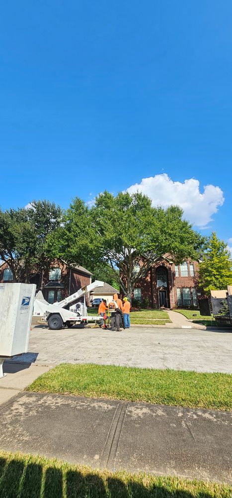 All Photos for Servin's Tree Care  in Houston, TX