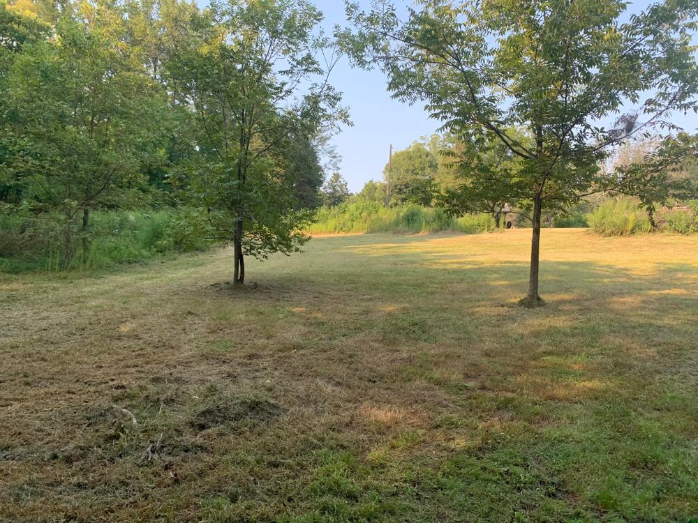 Our Bush Hogging service efficiently clears overgrown land, enhancing your property's appearance and accessibility. Trust our expert team to quickly transform your outdoors into a clean, manageable space with precision and care. for AJ Miles in Siler City, NC