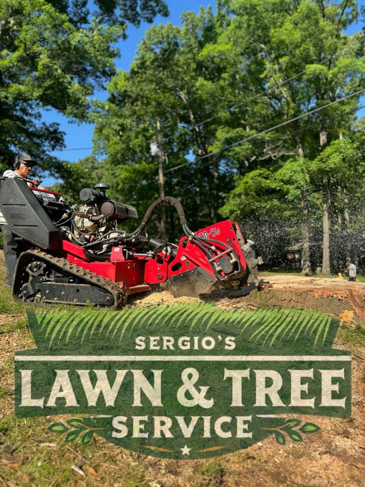 Our expert stump removal service safely and efficiently eliminates unsightly stumps, enhancing your landscape's beauty and preventing regrowth, creating a pristine yard that's ready for new landscaping projects. for Sergio’s Lawn and Tree Service in Knoxville, TN