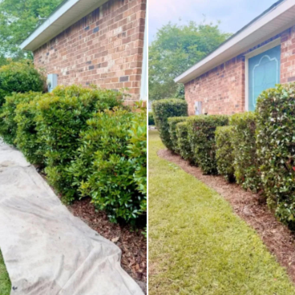 All Photos for Old Florida Lawncare in Baker, FL