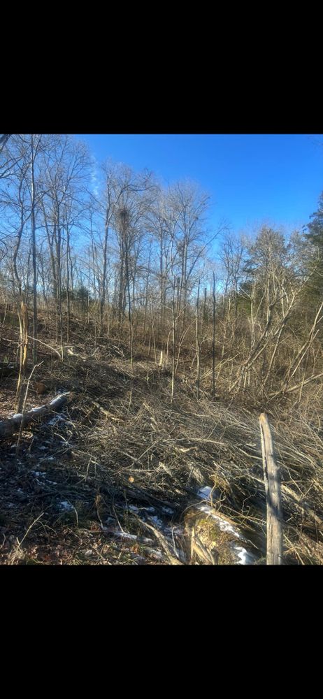 Land Clearing for Z's Land Management & Forestry Mulching in Smithville, TN