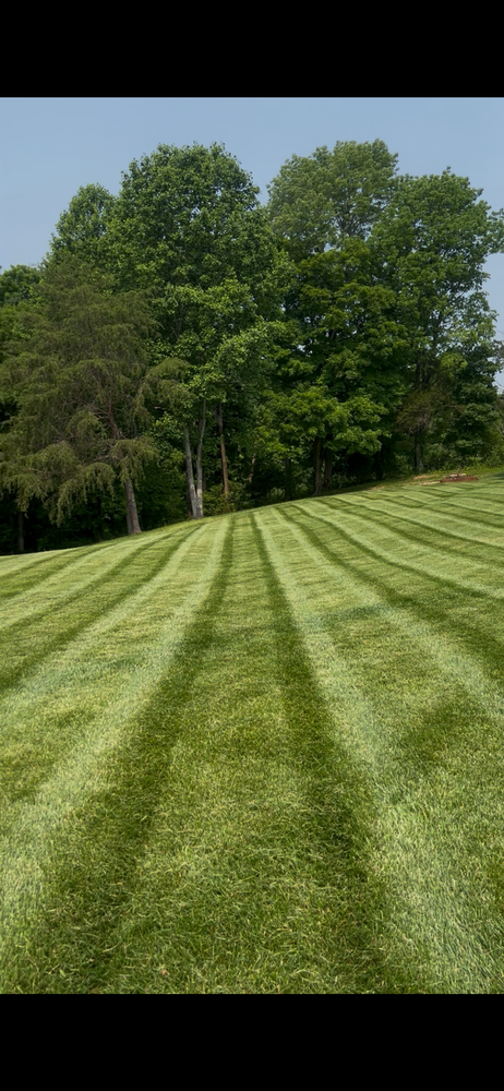 All Photos for Fescue 911 in Ashland City, TN