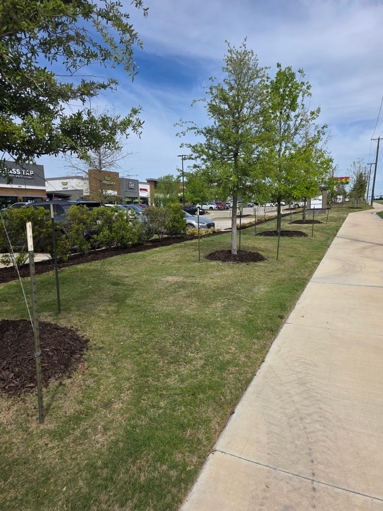 All Photos for RACSO RDZ LLC in McKinney, TX