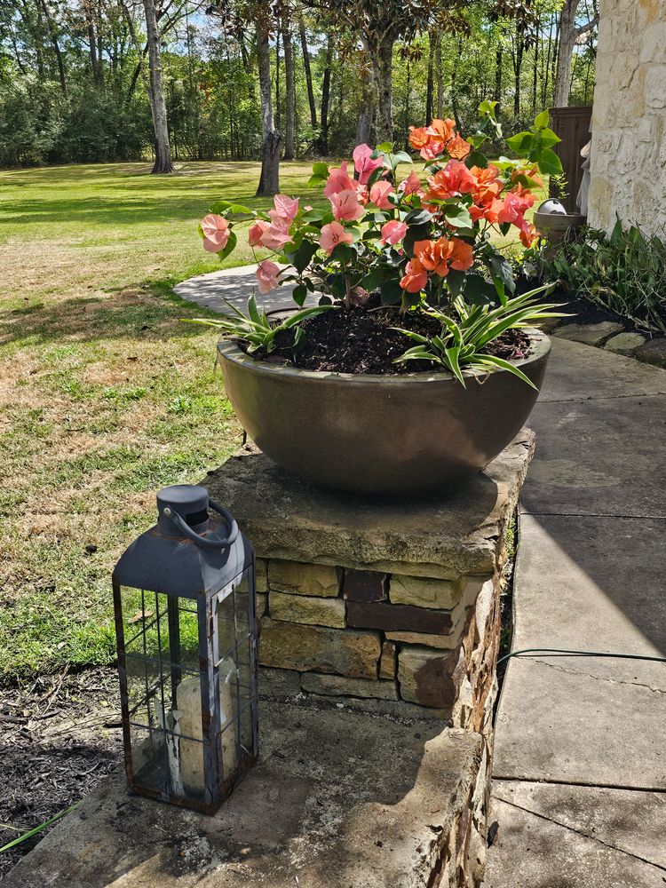 Landscaping for Bruno's Professional Lawn's & Landscape in Beaumont, TX