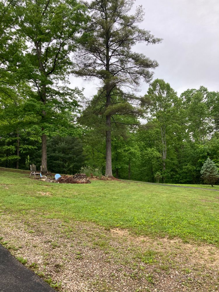 All Photos for Houtz Tree Service in Lexington, KY