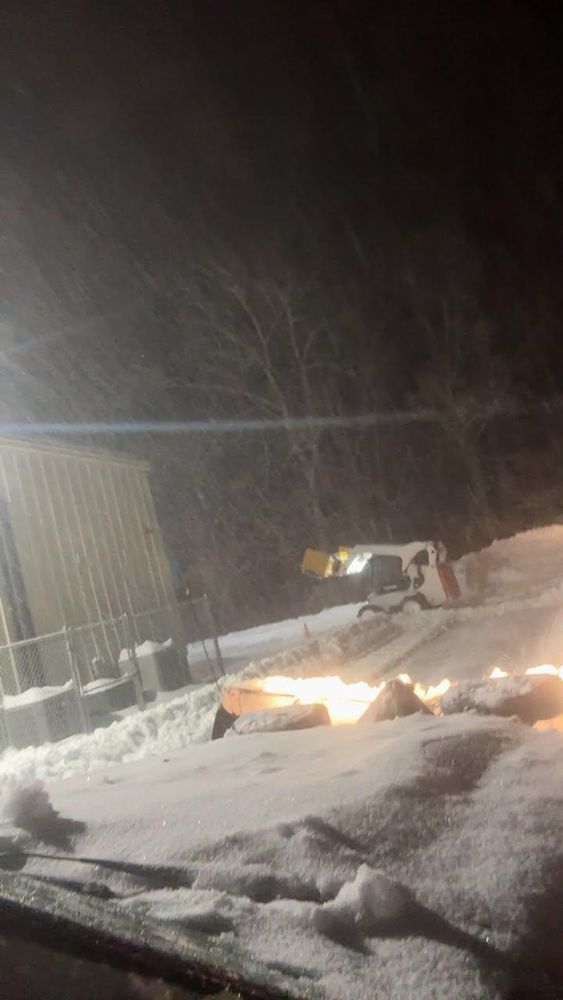 All Photos for Dwights Tree Service in Middleborough, MA