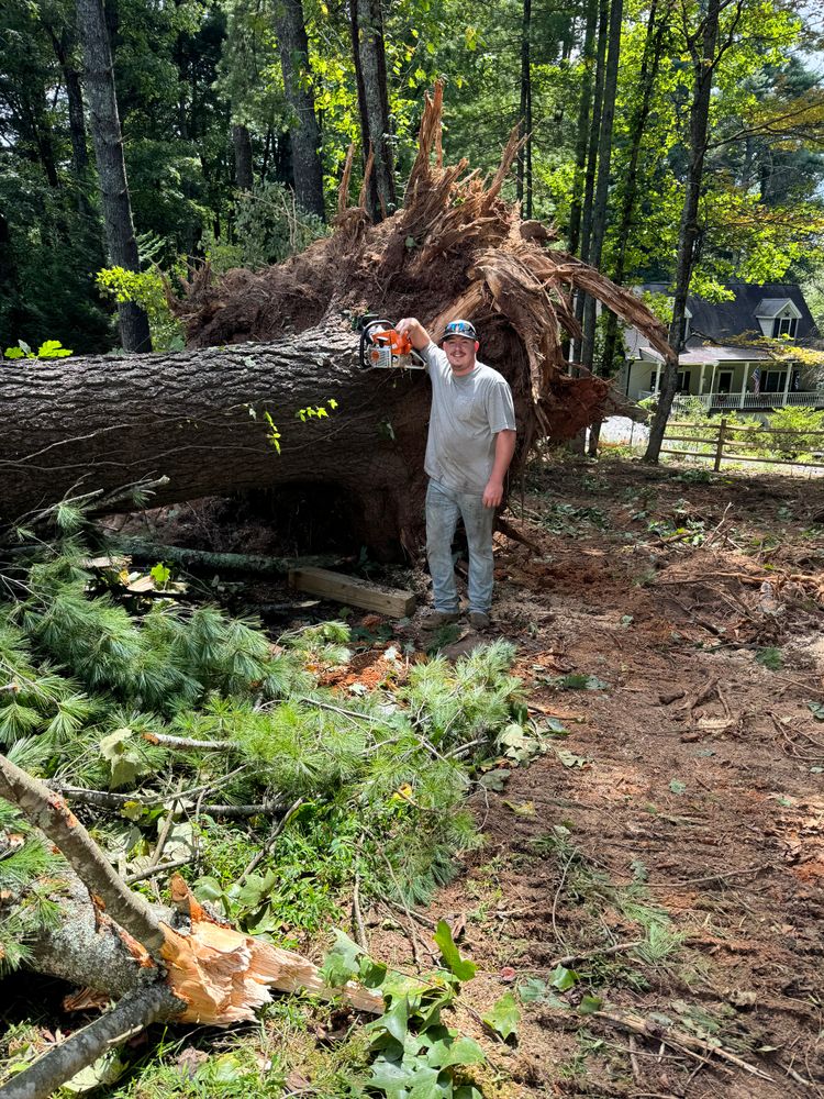 All Photos for Boyd’s Grading in Fruitland, NC