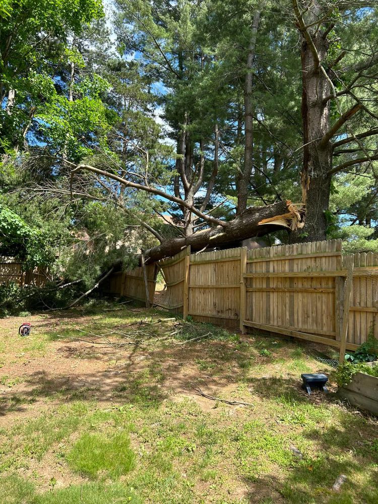 All Photos for NRV Tree Pro, LLC in Narrows, VA