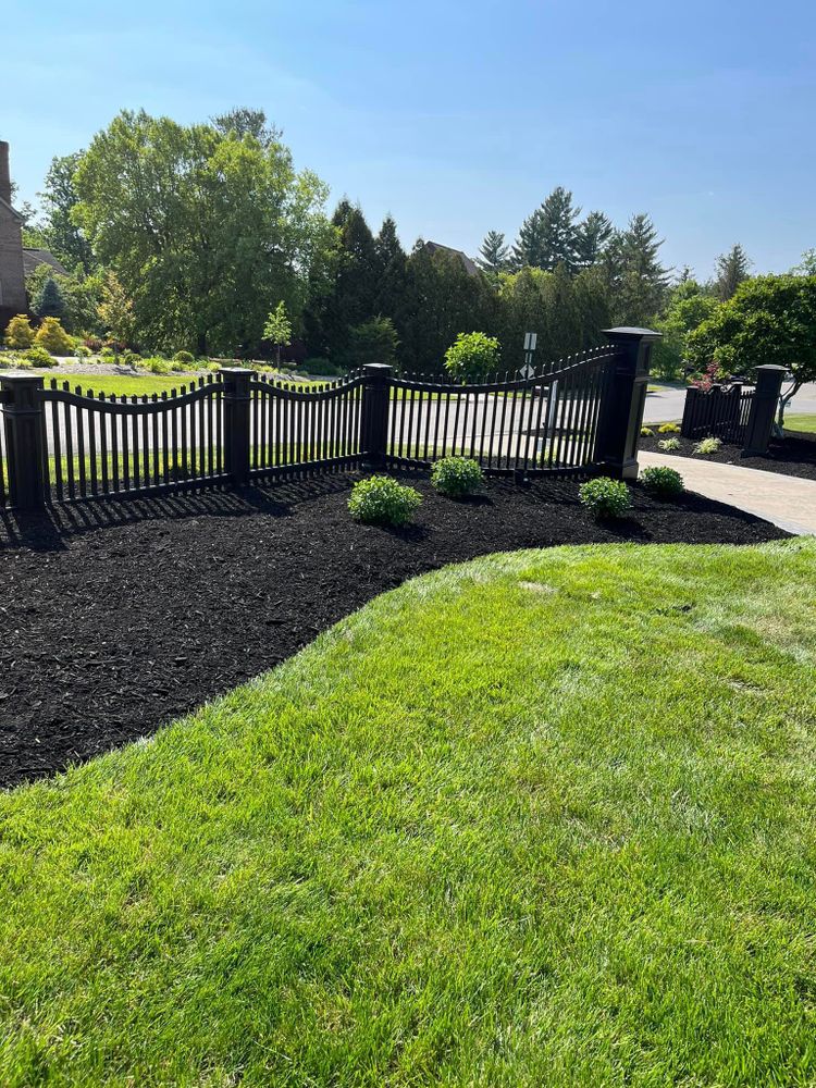 Lawn Care for Cincinnati’s Finest Landscape Services LLC in Cincinnati, OH