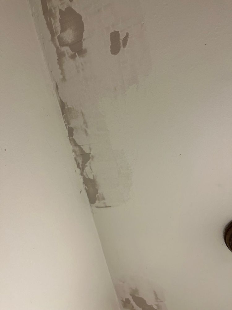 All Photos for Ridge Line Painters in Bridgewater Corners, VT