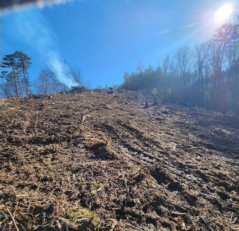 Transform your landscape with our Forestry Mulching service, offering efficient land clearing that enhances property appeal, reduces underbrush quickly, and promotes healthy soil without the need for traditional debris removal. for H&H Earthworks in Decherd, TN