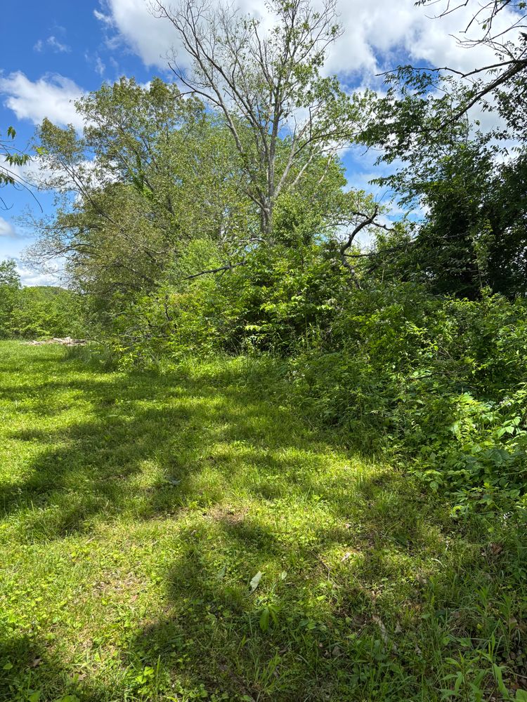 All Photos for Gregory Grass and Lawn in Lafayette, TN