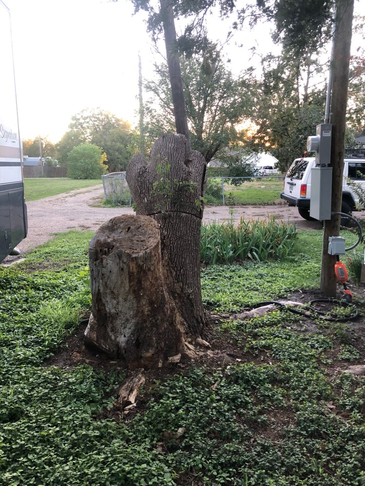 All Photos for Piña’s Lawncare in Waco, TX