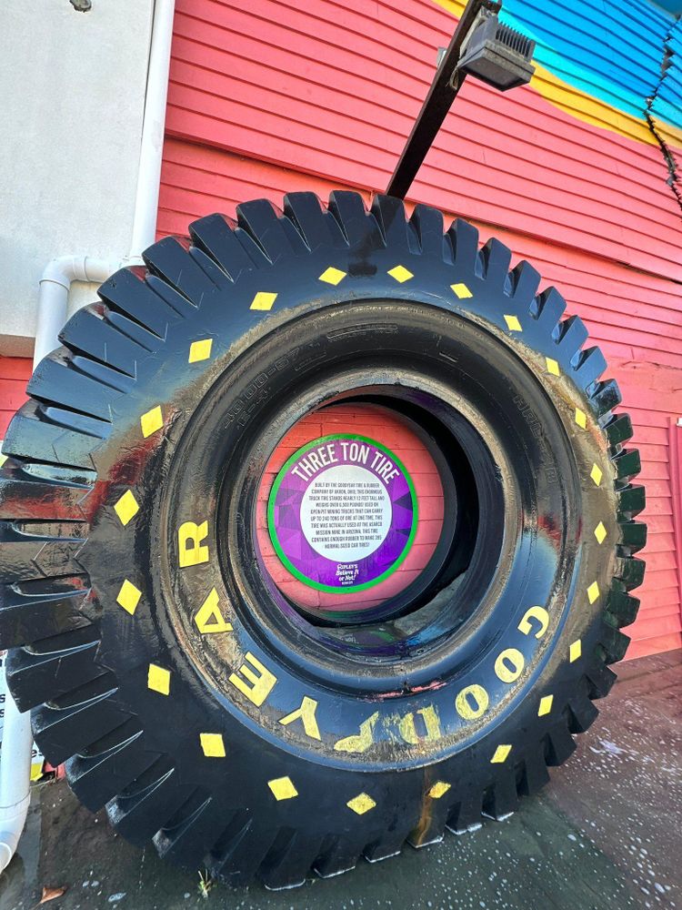 All Photos for Hydra-Lok Softwash LLC in Maryland, Catonsville