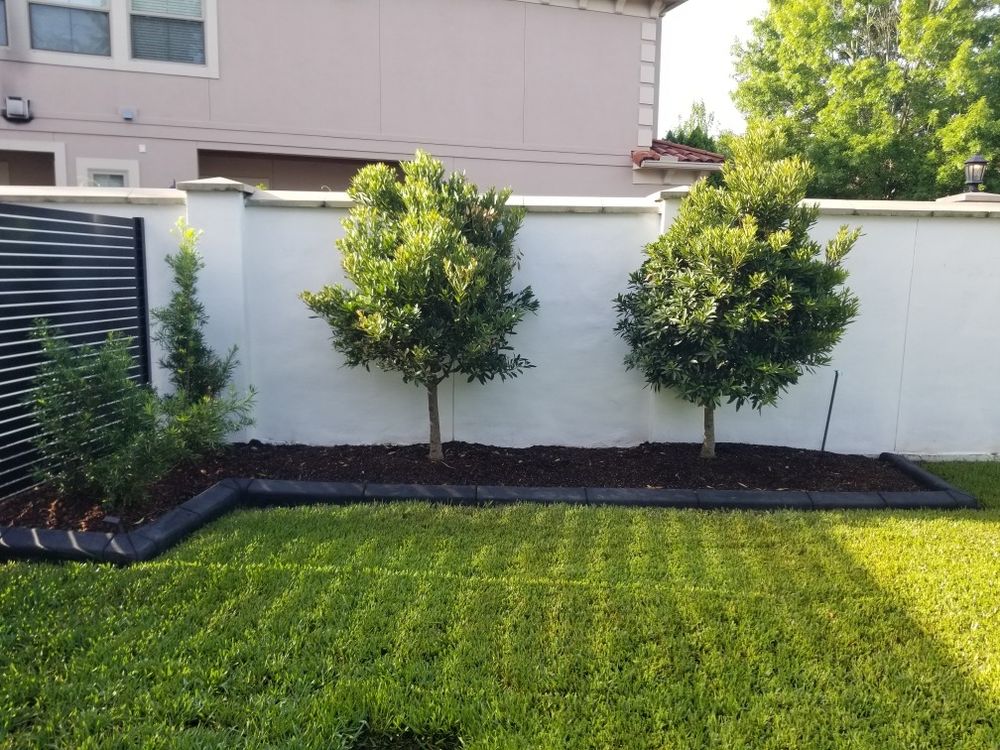 All Photos for Texas Curb N Borders in Houston, TX