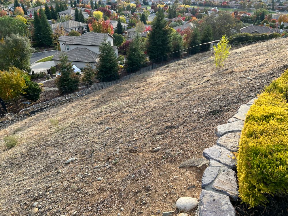 All Photos for Folsom Lake Landscaping in El Dorado Hills, CA