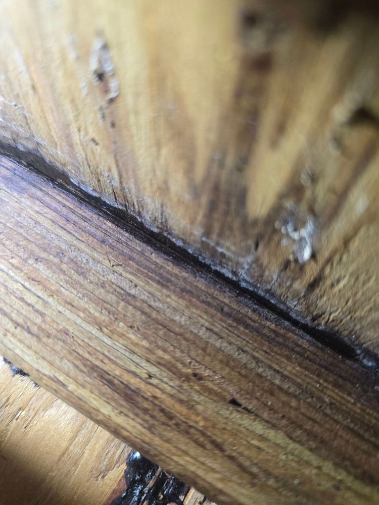 All Photos for Donovan & Sons in Fredericksburg, VA