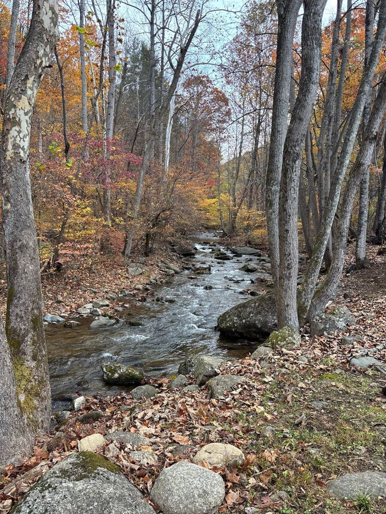 All Photos for James River Pools and Spa in Powhatan, VA