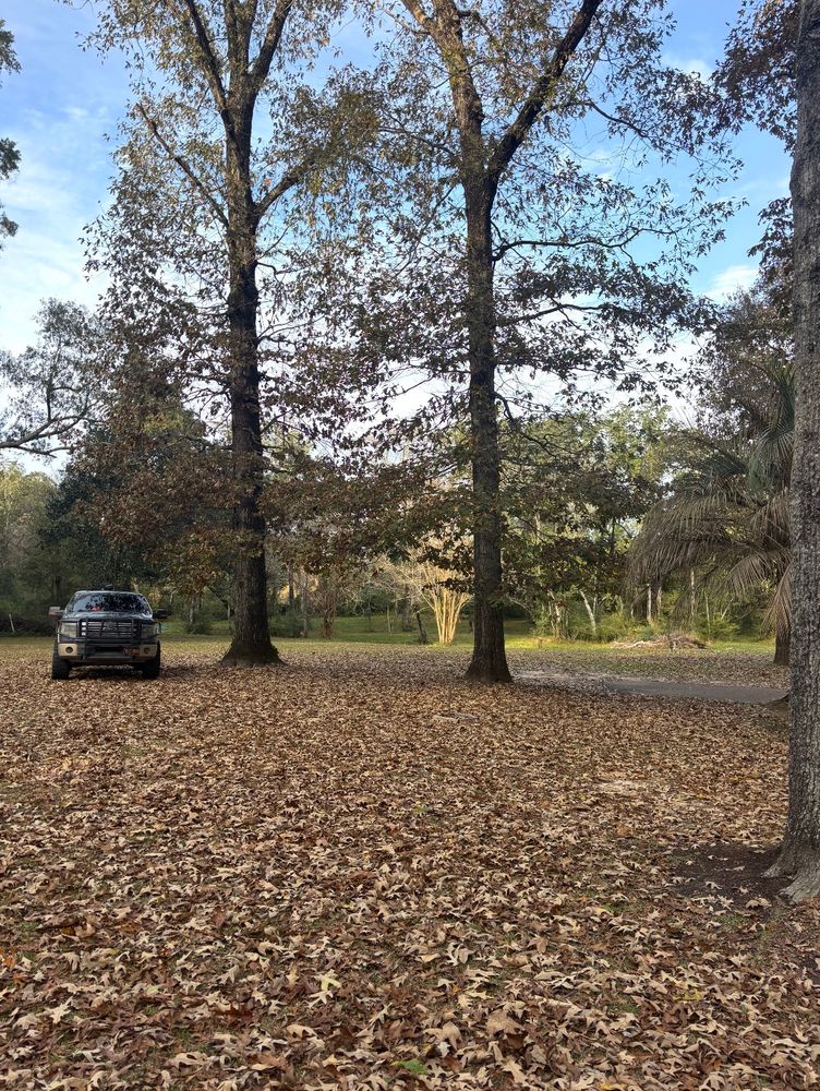 All Photos for Enhanced Landscape in Daphne, AL