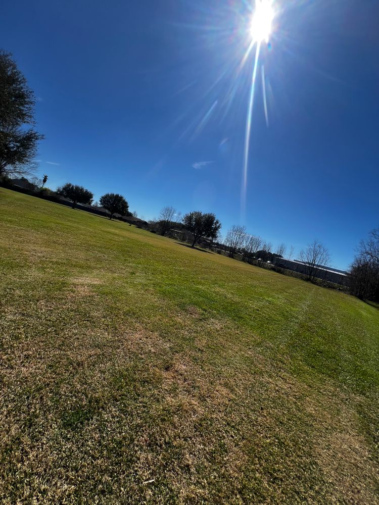 All Photos for Enhanced Landscape in Daphne, AL