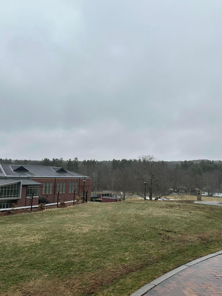 All Photos for Leaf and Limb in Townsend, MA