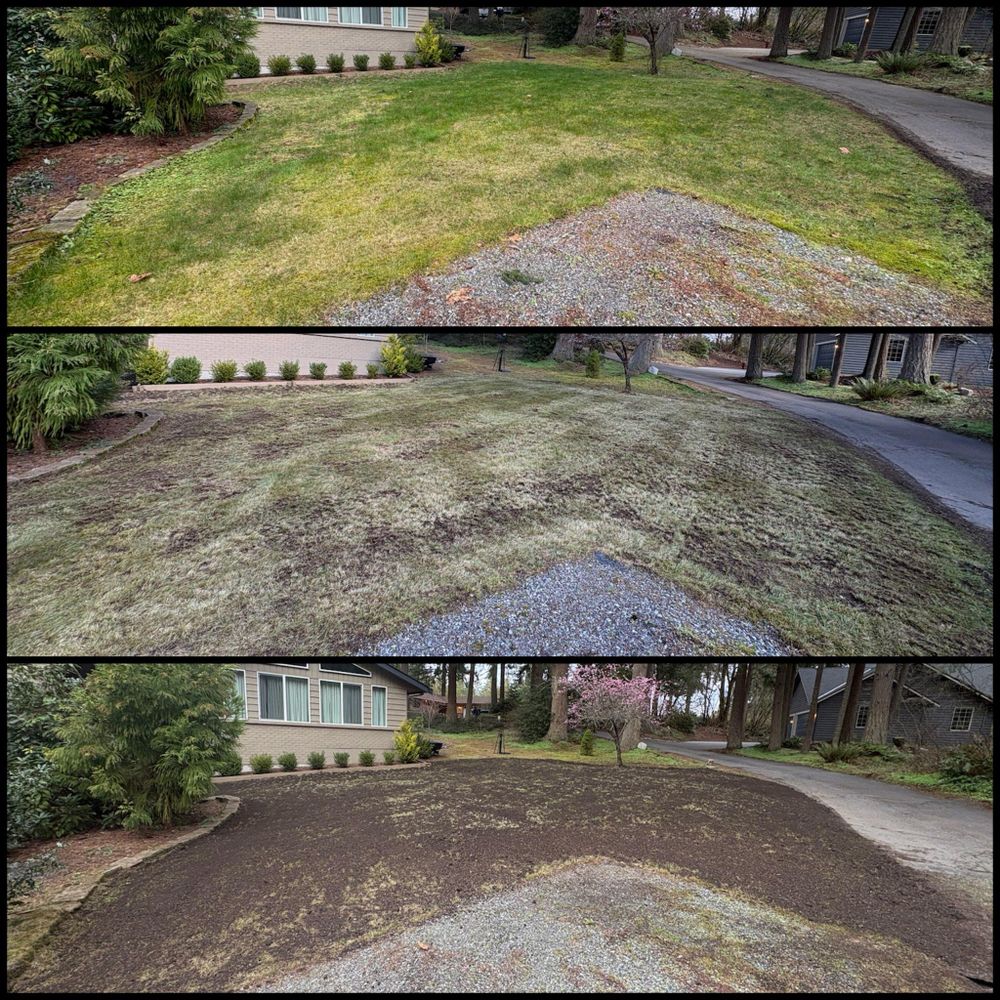 Fall Clean Up for Golovin Property Services LLC in Marysville, WA
