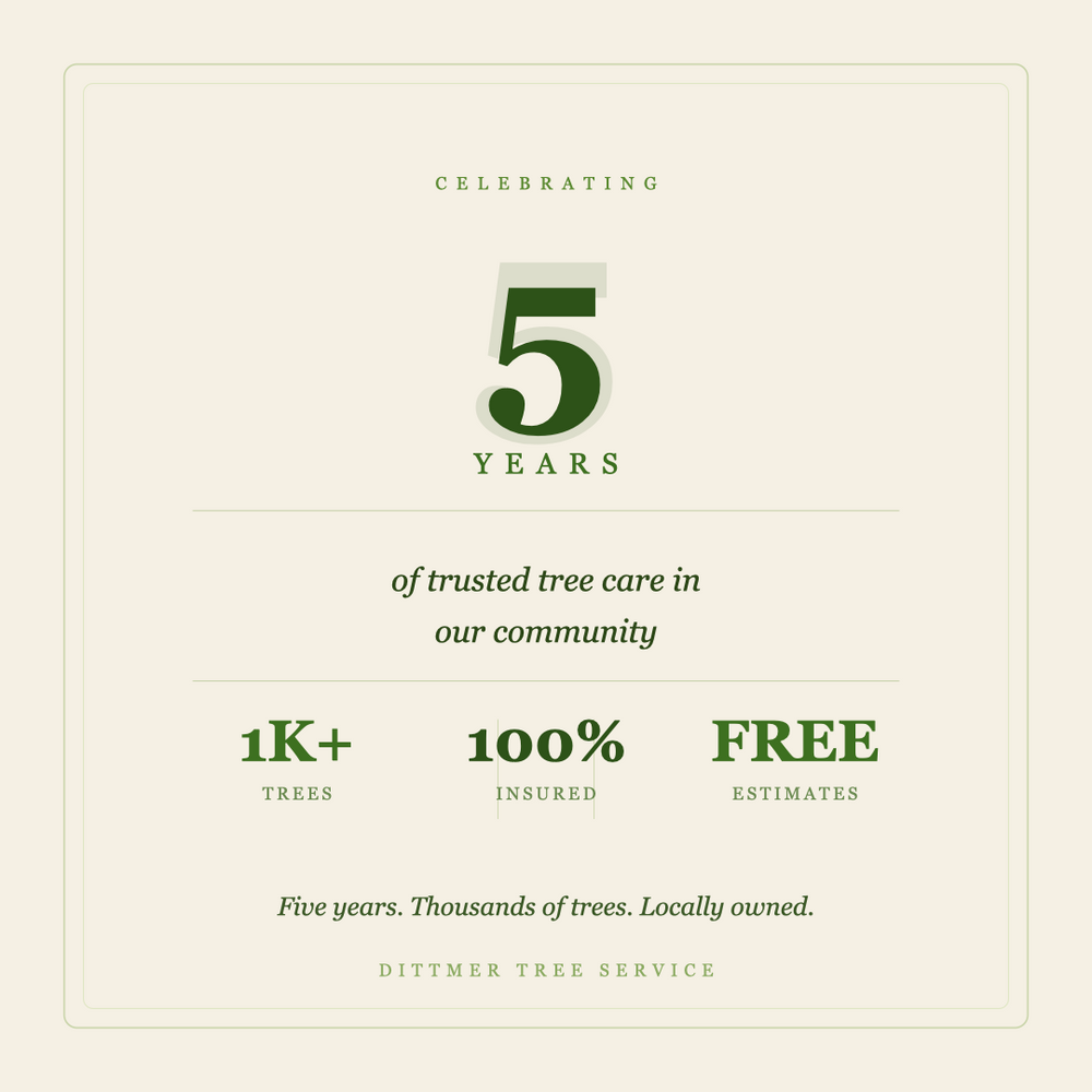 All Photos for Dittmer Tree Service in Davenport, IA