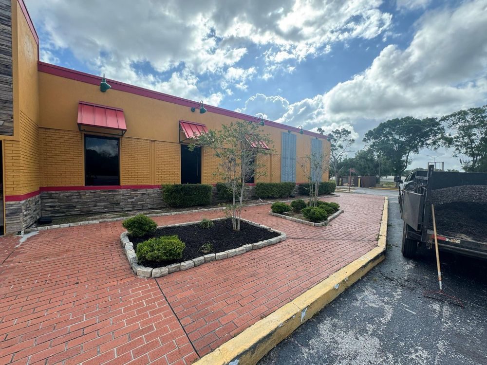 All Photos for Native Land Management in Lakeland, FL