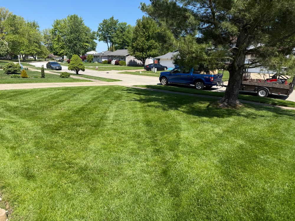 All Photos for Yard Theory in Willowick, OH