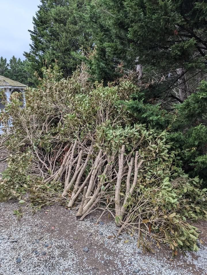 All Photos for Turtle's Haul-Away & Junk Removal in Stevensville, MD