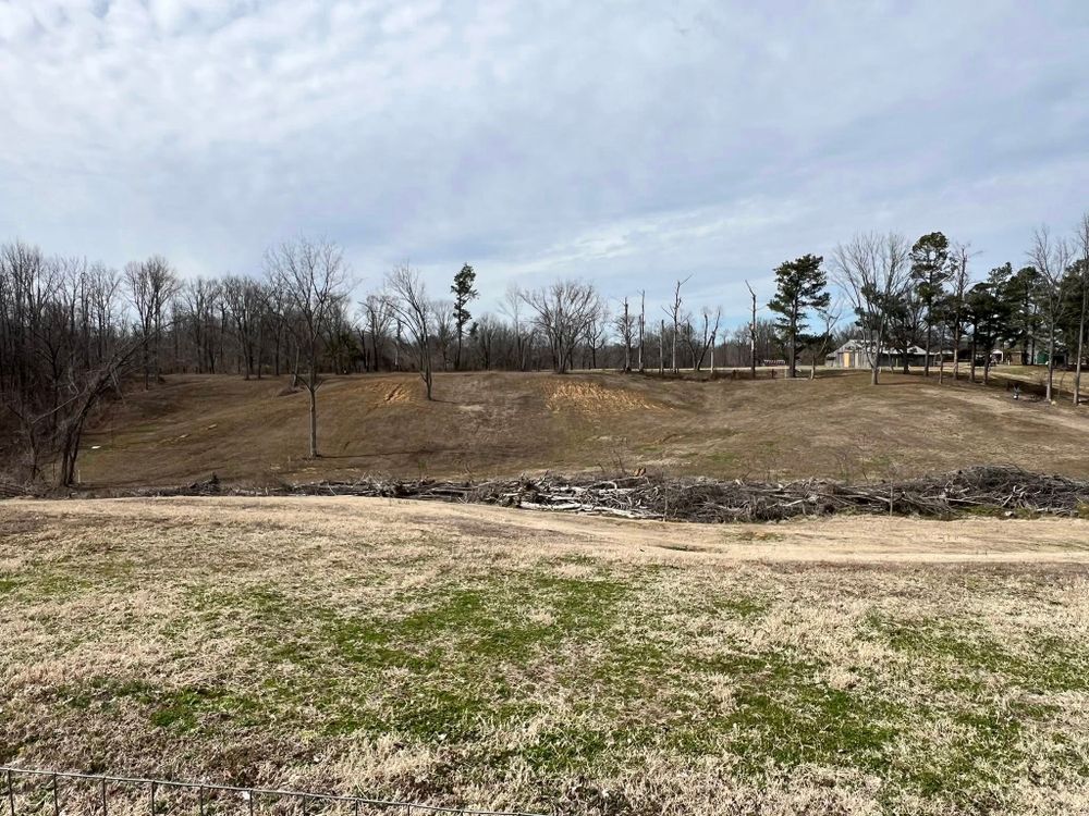 Our forestry mulching service efficiently clears overgrown areas, promoting healthy landscapes by returning nutrients to the soil. Contact us for expert "forestry mulching near me" to revitalize your outdoor space today. for David Gantt Construction in Munford, TN