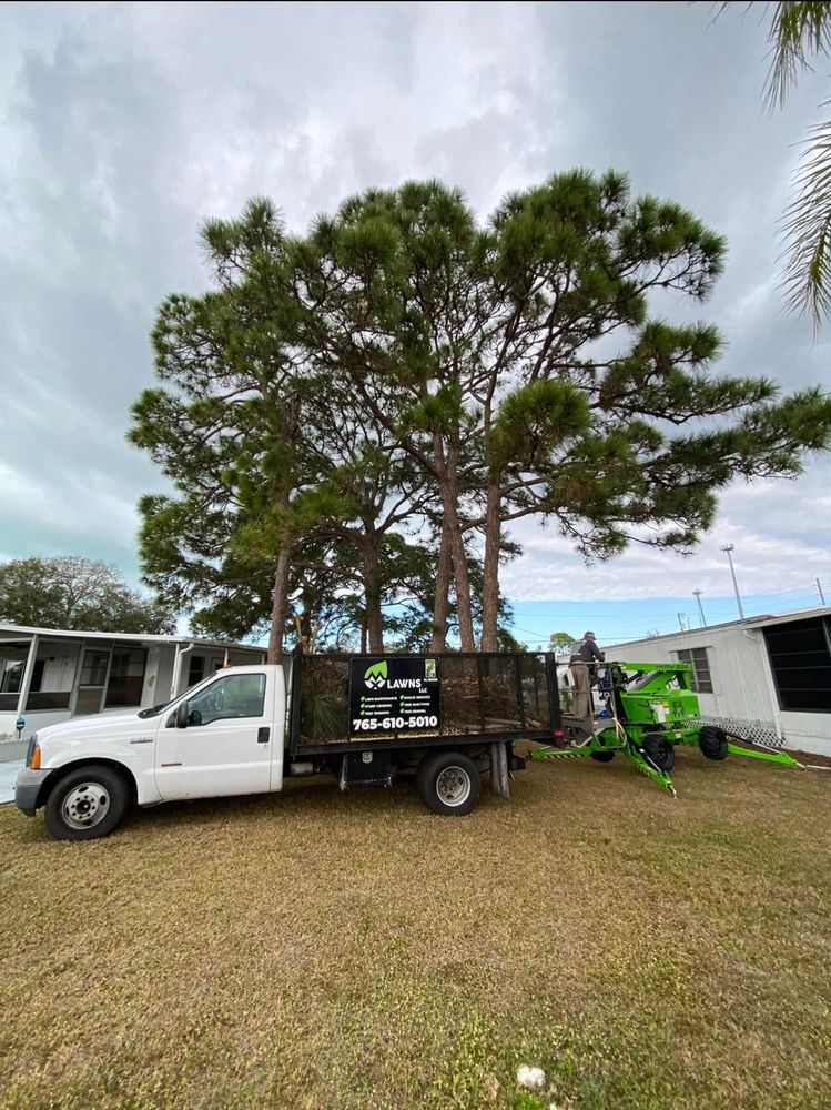 Tree Removal for MX Trees LLC in Englewood, FL