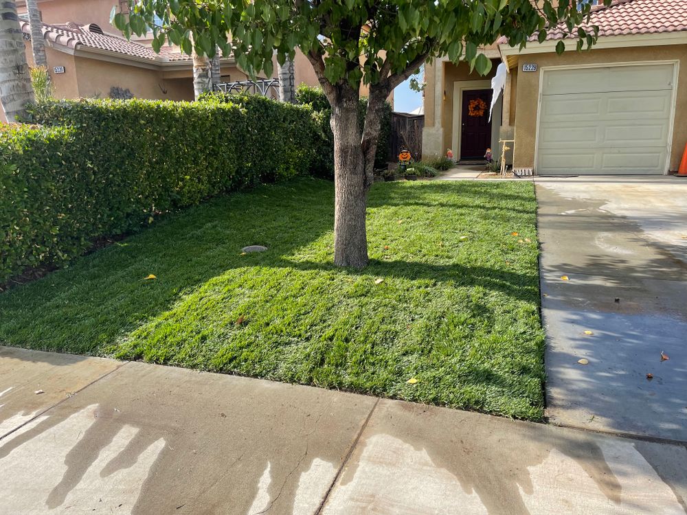 Sod Installations for Aidan Jade Landscaping in Riverside County, CA