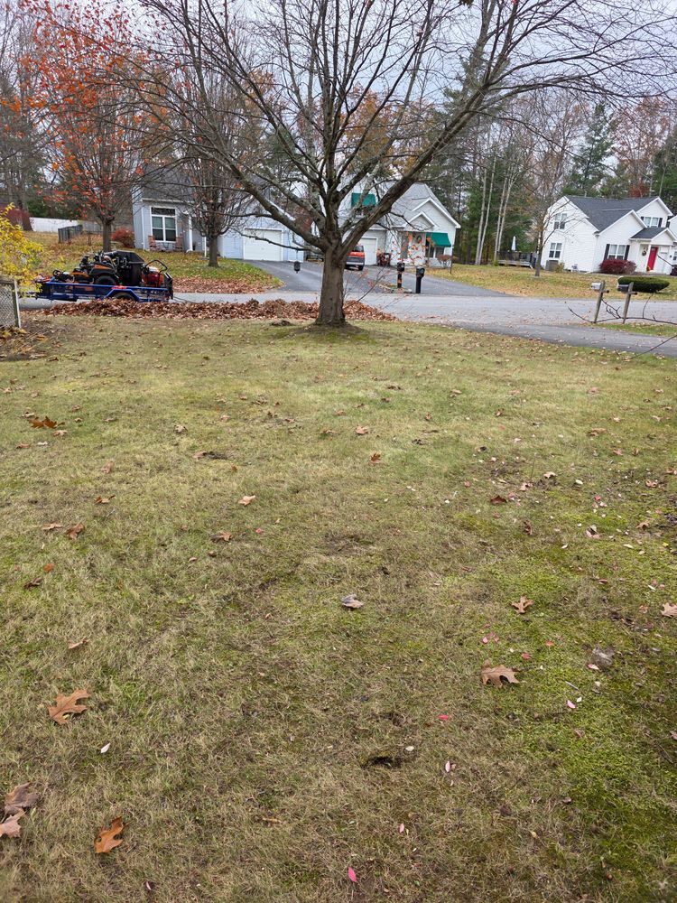 All Photos for Sweet Scapes in Ballston Spa, NY