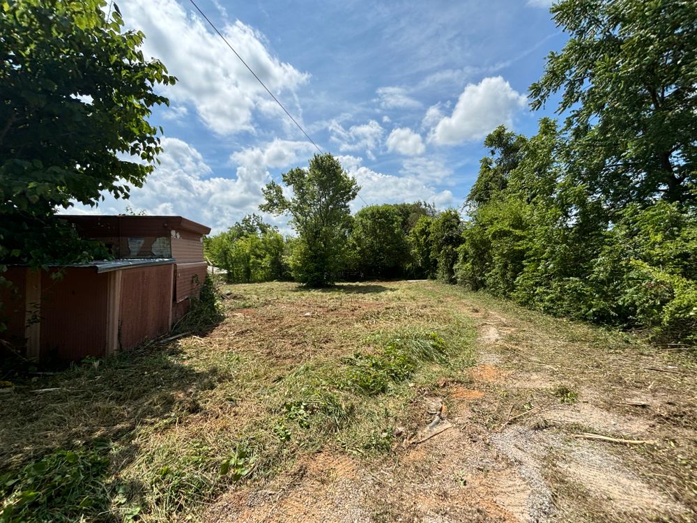 Brush Clearing  for Three Rivers Dirt Works LLC in Knoxville, TN