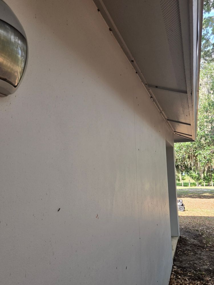 All Photos for Above the Lawn Cuts and Pressure Washing in Sebring, FL