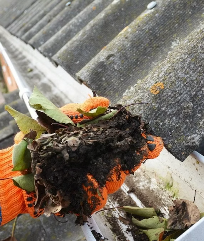 <b> Protect Your Home With Professional Gutter Cleaning </b> for Elite Shine Property Services: The #1 Choice for Window & Exterior Cleaning in South OC in Orange county, CA