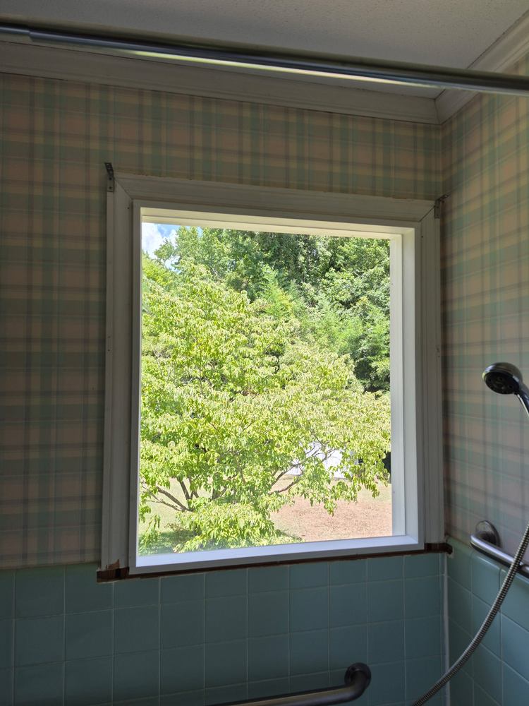All Photos for Pane -N- The Glass in Rock Hill, SC