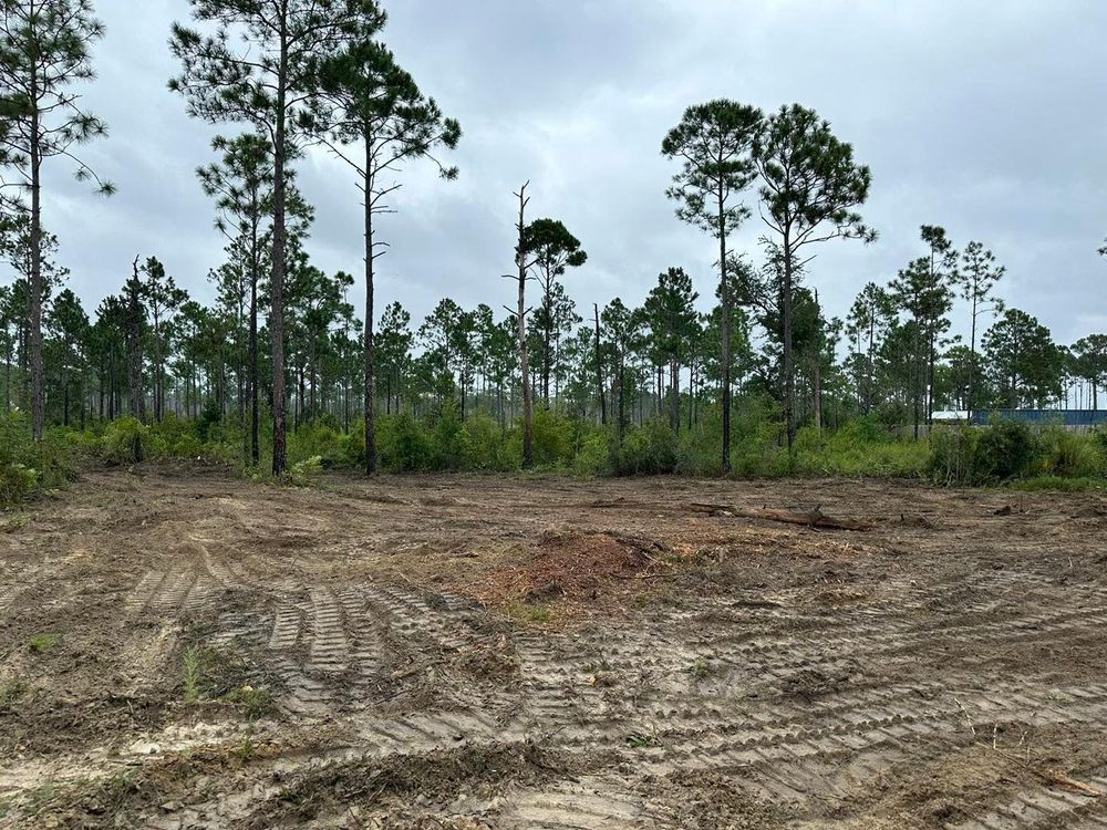 All Photos for White’s Land Maintenance in Milton,, FL