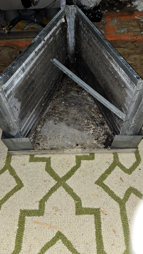 All Photos for Comfortably Cool  in Ladson, SC