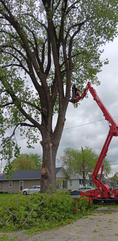 All Photos for Lawn Ranger Yard And Tree Service LLC in Ottumwa, IA