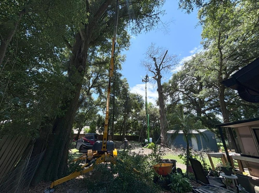 All Photos for McGraw’s Lawn and Tree Service in DeLand, FL