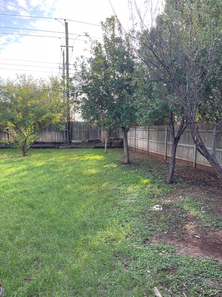 Landscaping Renovations  for Elite Horizons in Abilene, TX