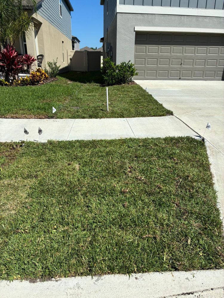 All Photos for Gulf Bay Sod in Clearwater, FL