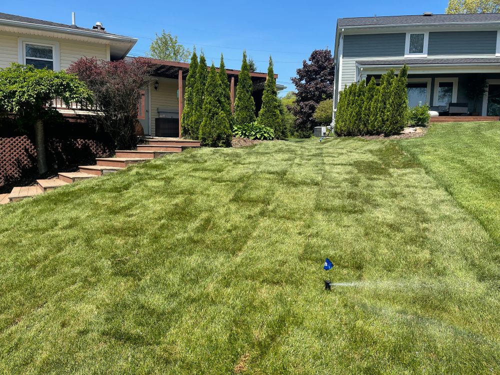 Sod installation for Steed's Lawn and Landscape LLC in White Lake, MI